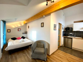 Отель Le Patio - appartements climatisés Toulouse centre  Тулуза